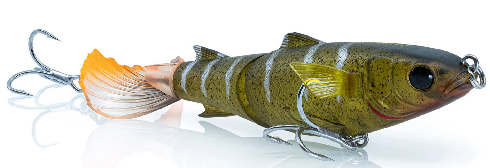 Lure Haven Singapore