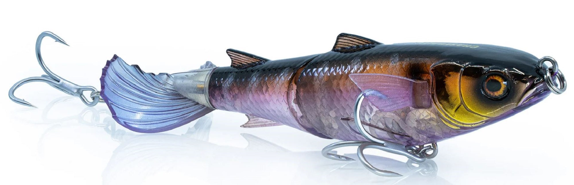 Lure Haven Singapore