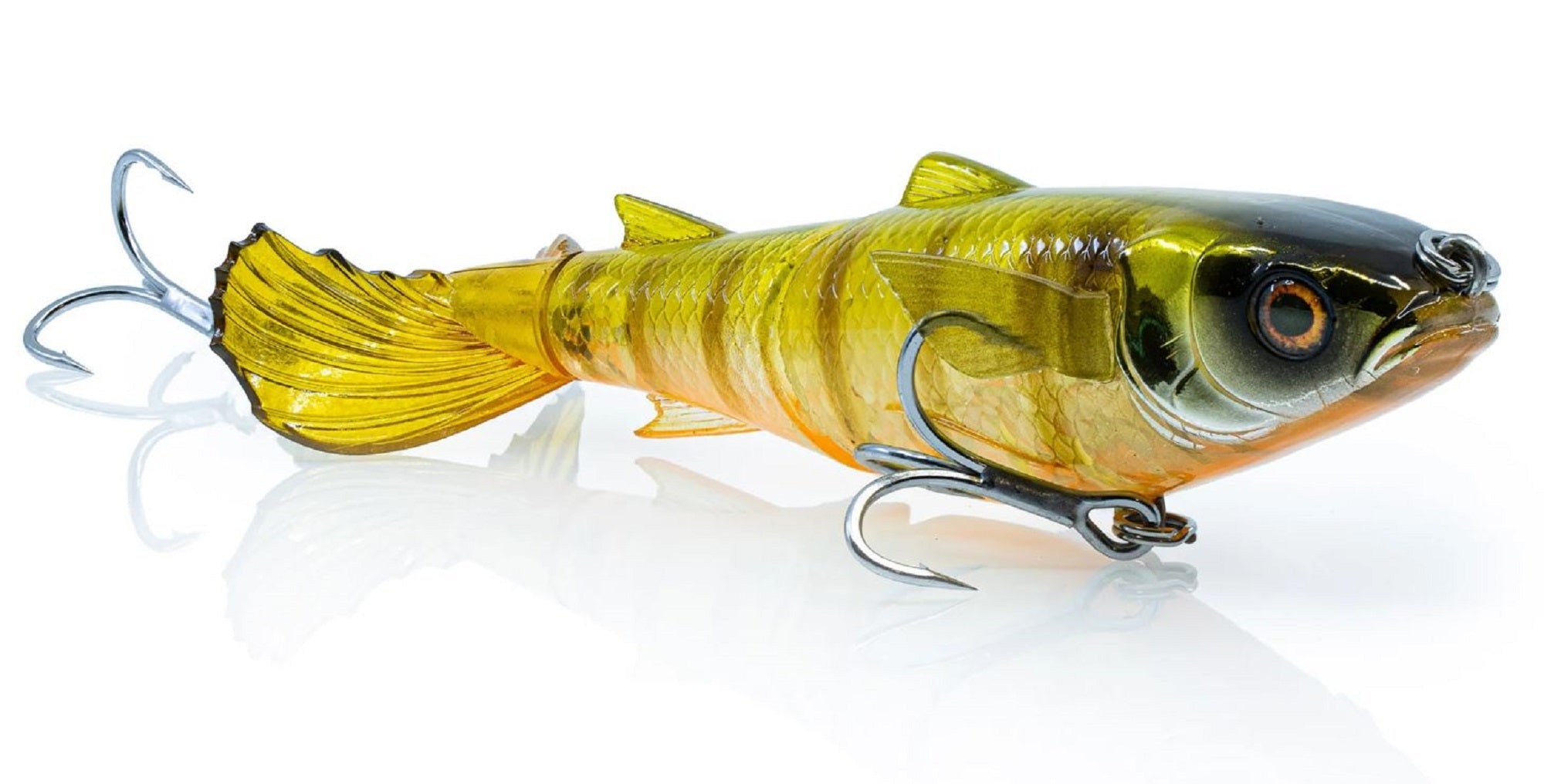 Lure Haven Singapore