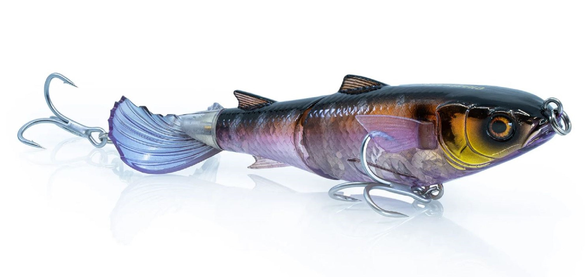 Lure Haven Singapore