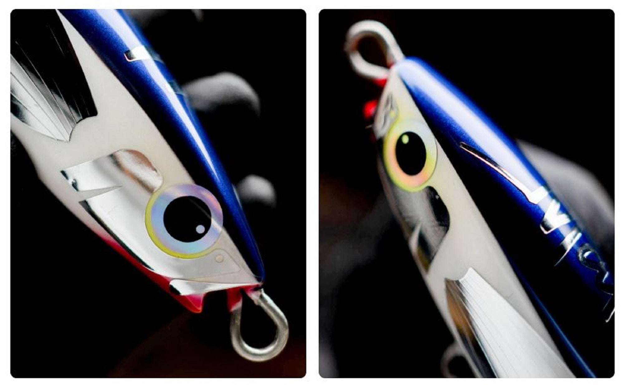 Lure Haven Singapore