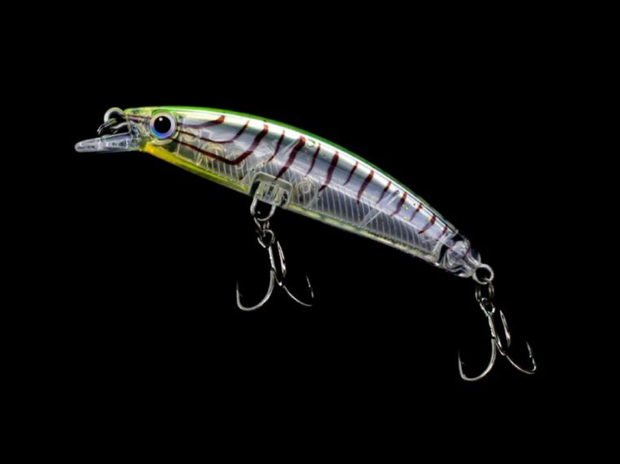 Lure Haven Singapore