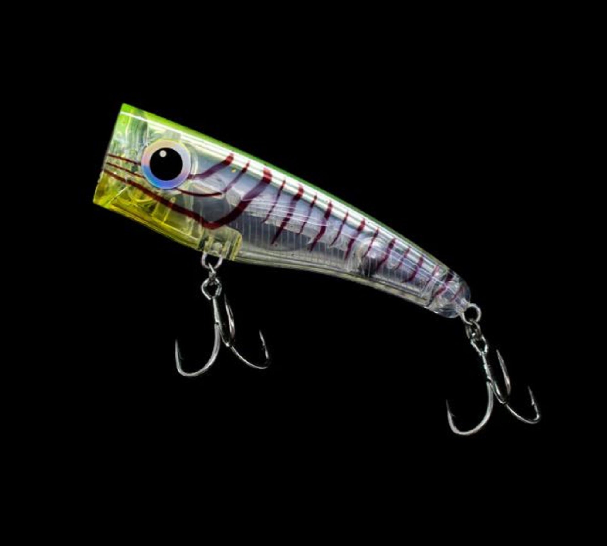 Lure Haven Singapore
