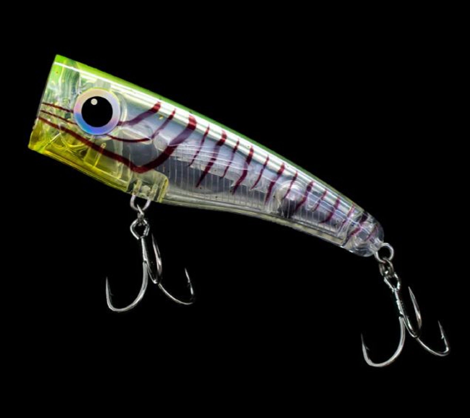 Lure Haven Singapore