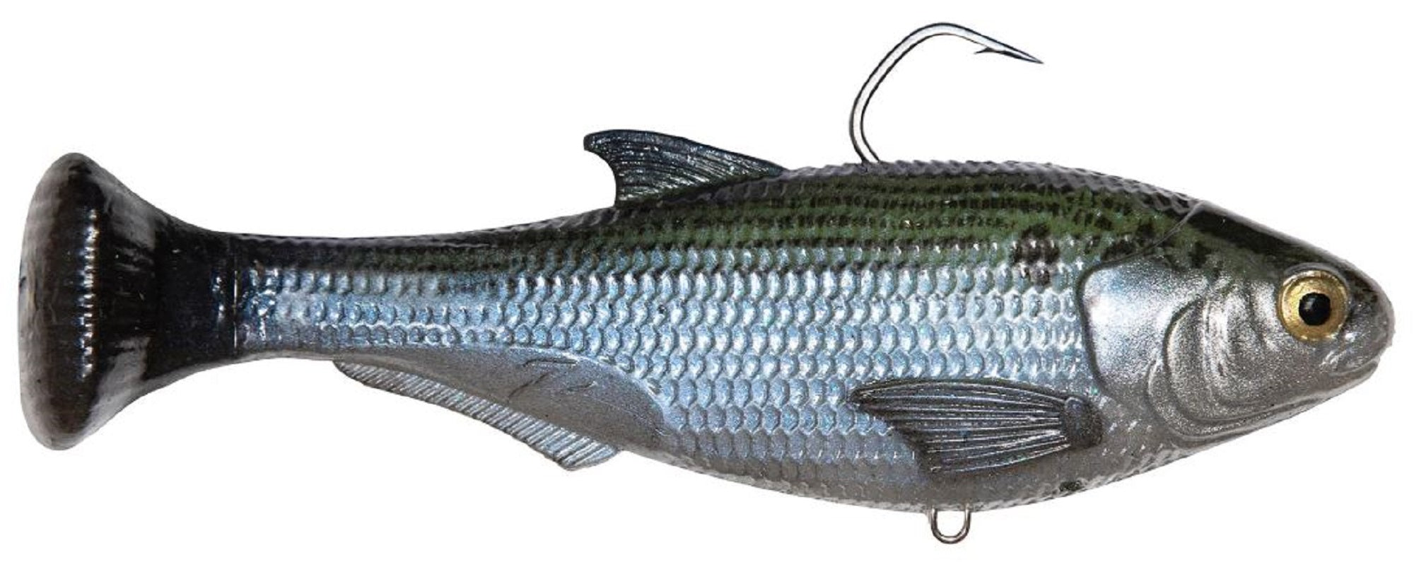Zman Soft Lure Shadtron LT Swimbait 4.5 Inch Mossback (0455)