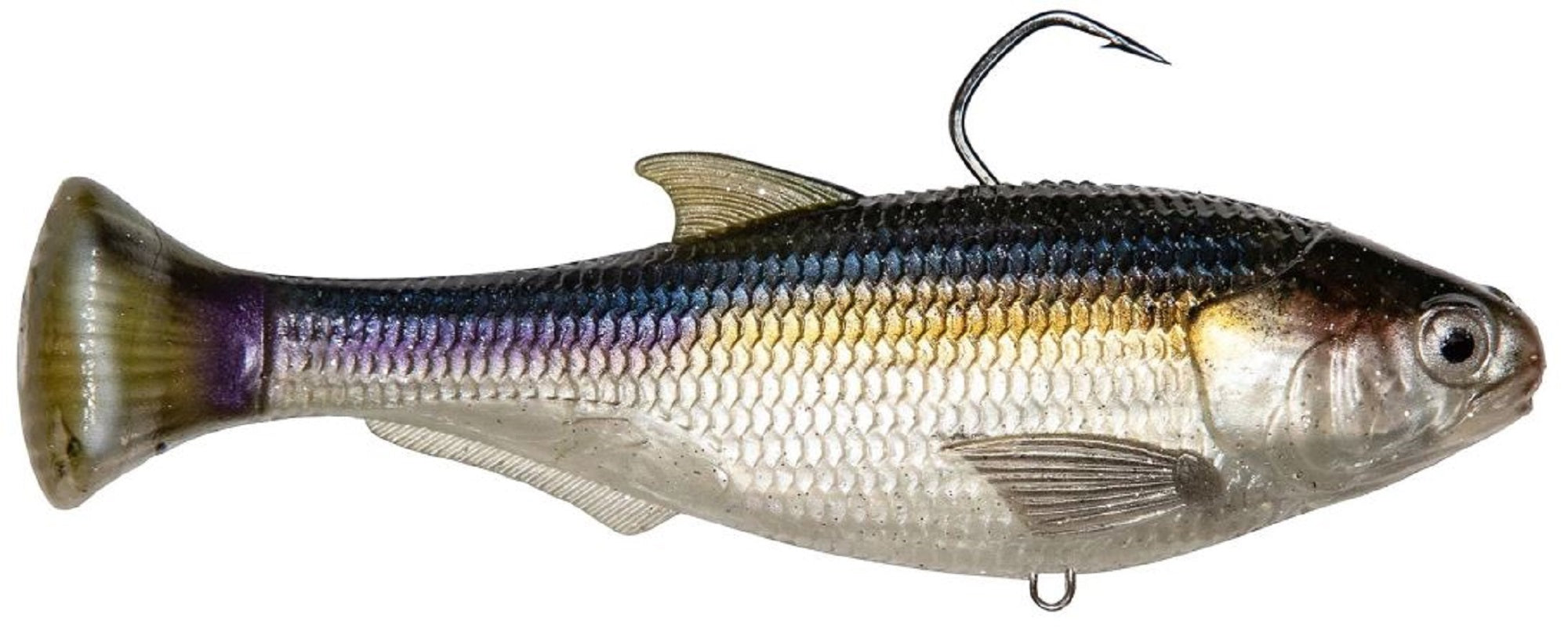 Zman Soft Lure Shadtron LT Swimbait 6 Inch Blueback Herring (0561)