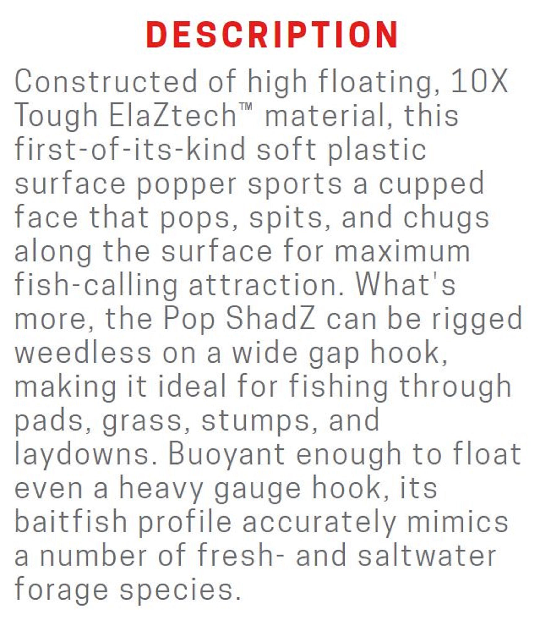 Lure Haven Singapore
