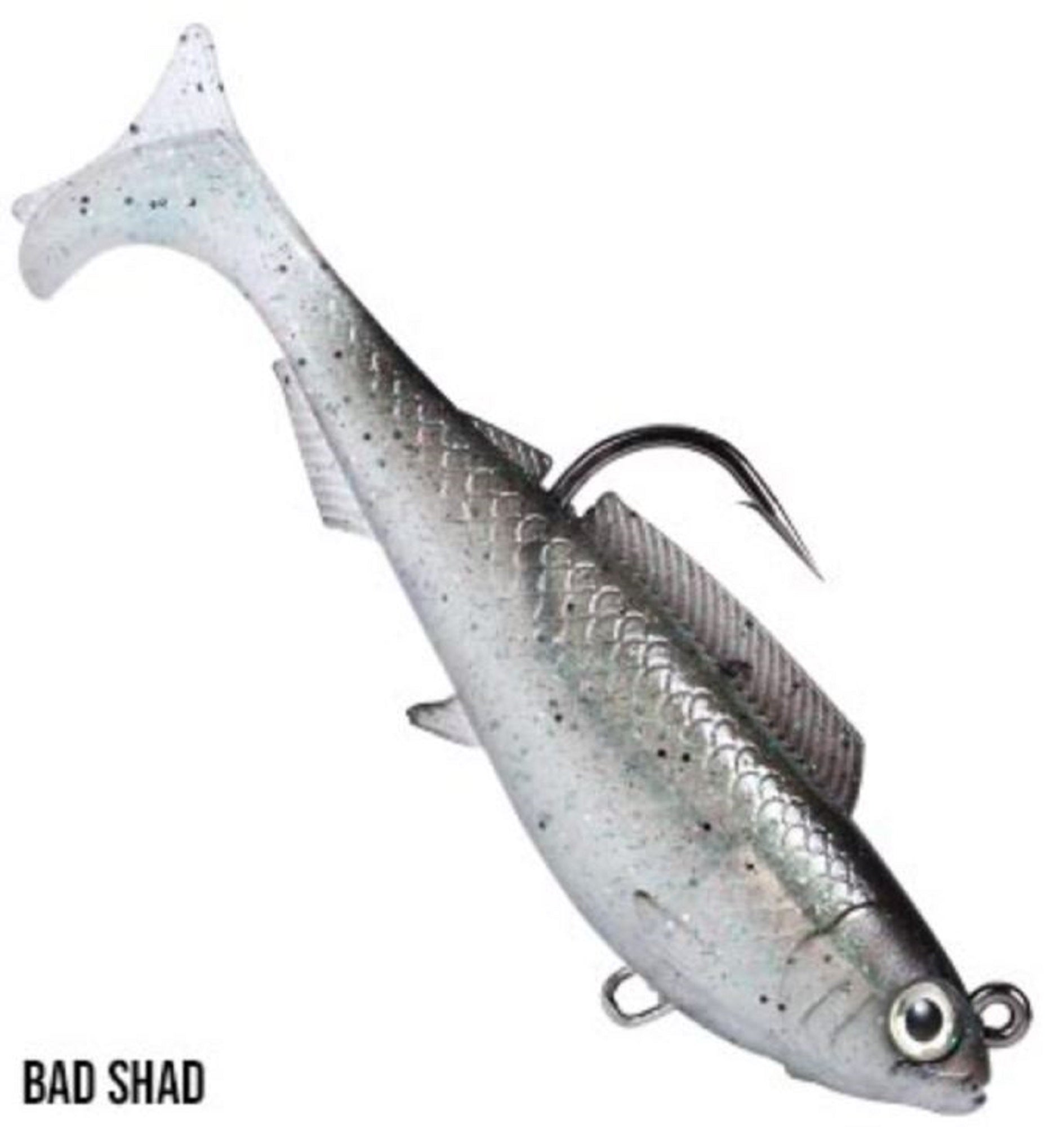 Lure Haven Singapore