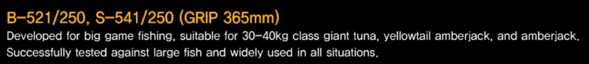 NS Black Hole Rod Spinning Boca Big Line Jigging S-541/250 (6578)