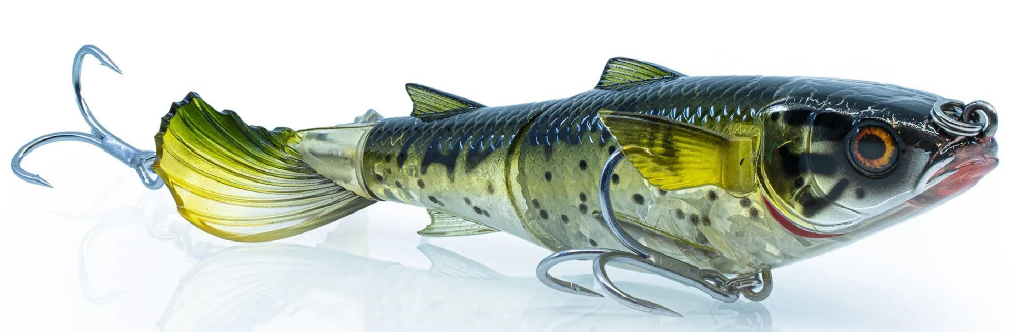 Lure Haven Singapore
