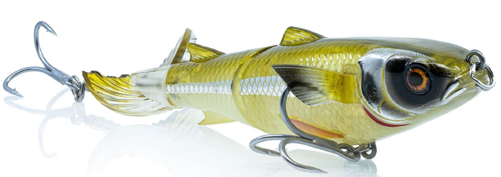 Lure Haven Singapore