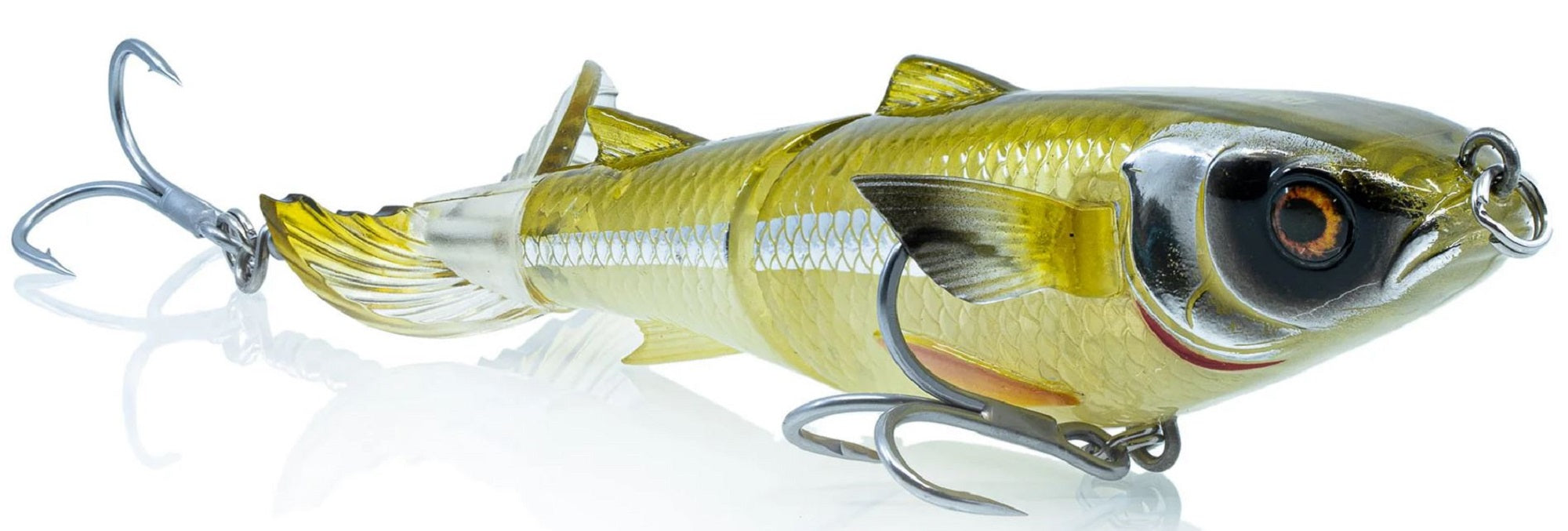 Lure Haven Singapore