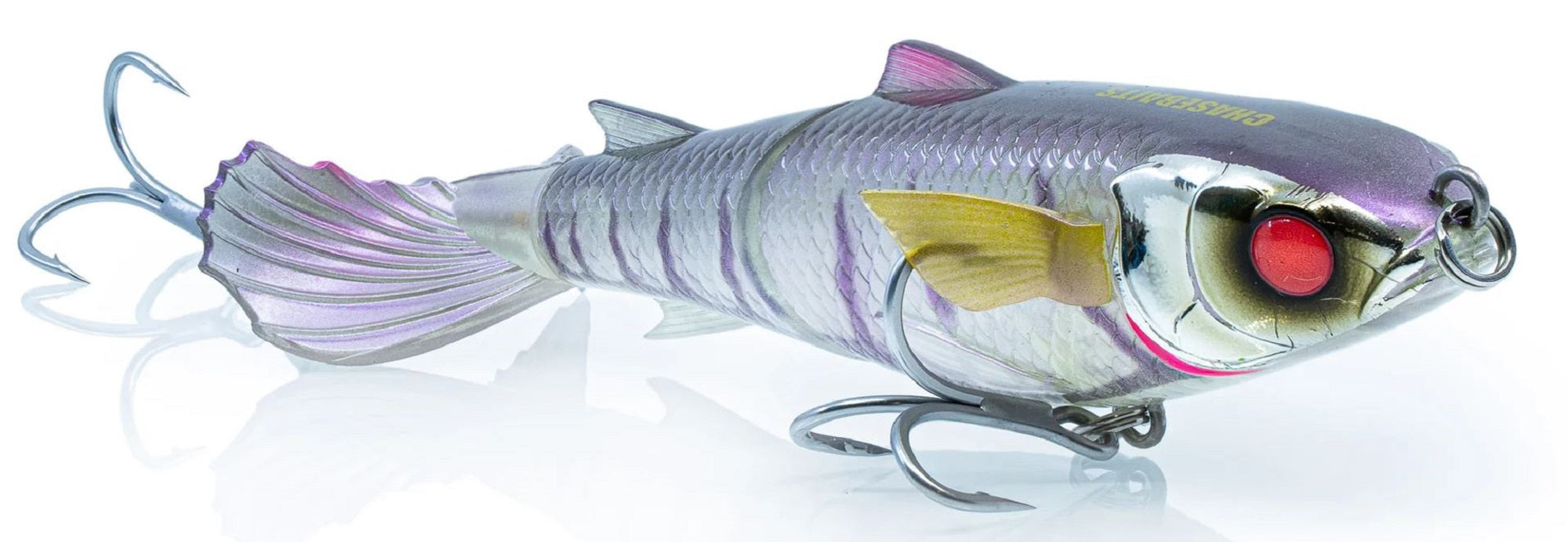 Lure Haven Singapore