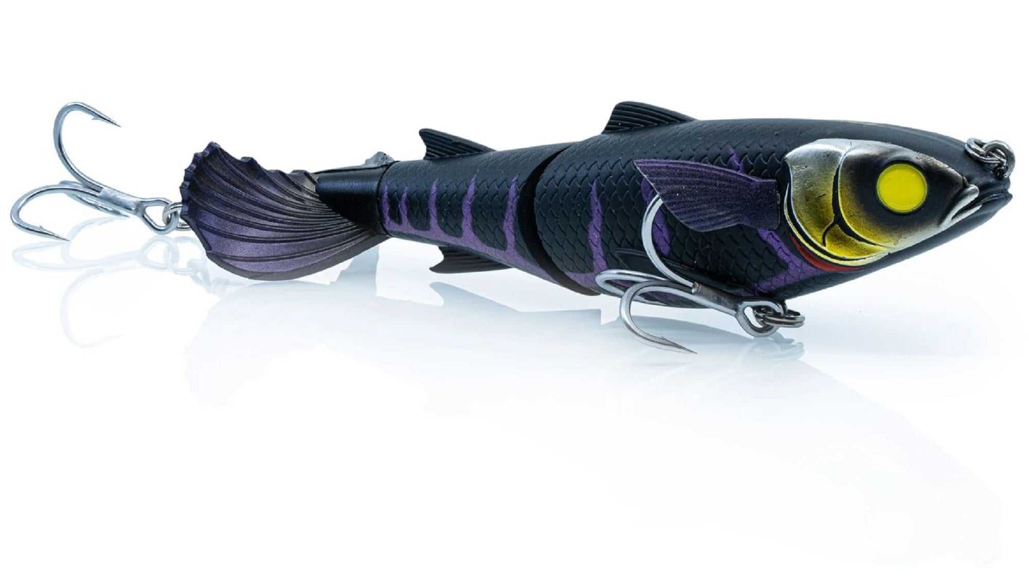 Lure Haven Singapore