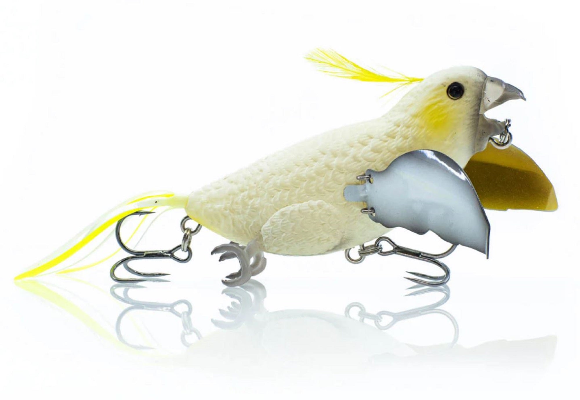 Lure Haven Singapore