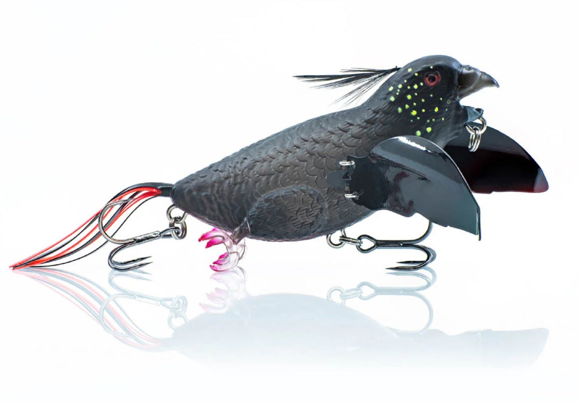 Lure Haven Singapore