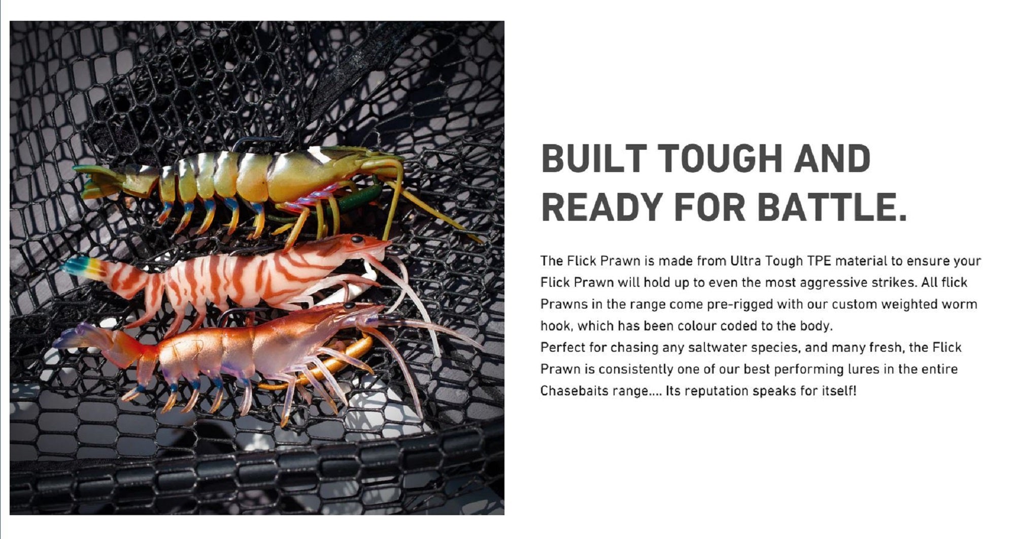 Lure Haven Singapore