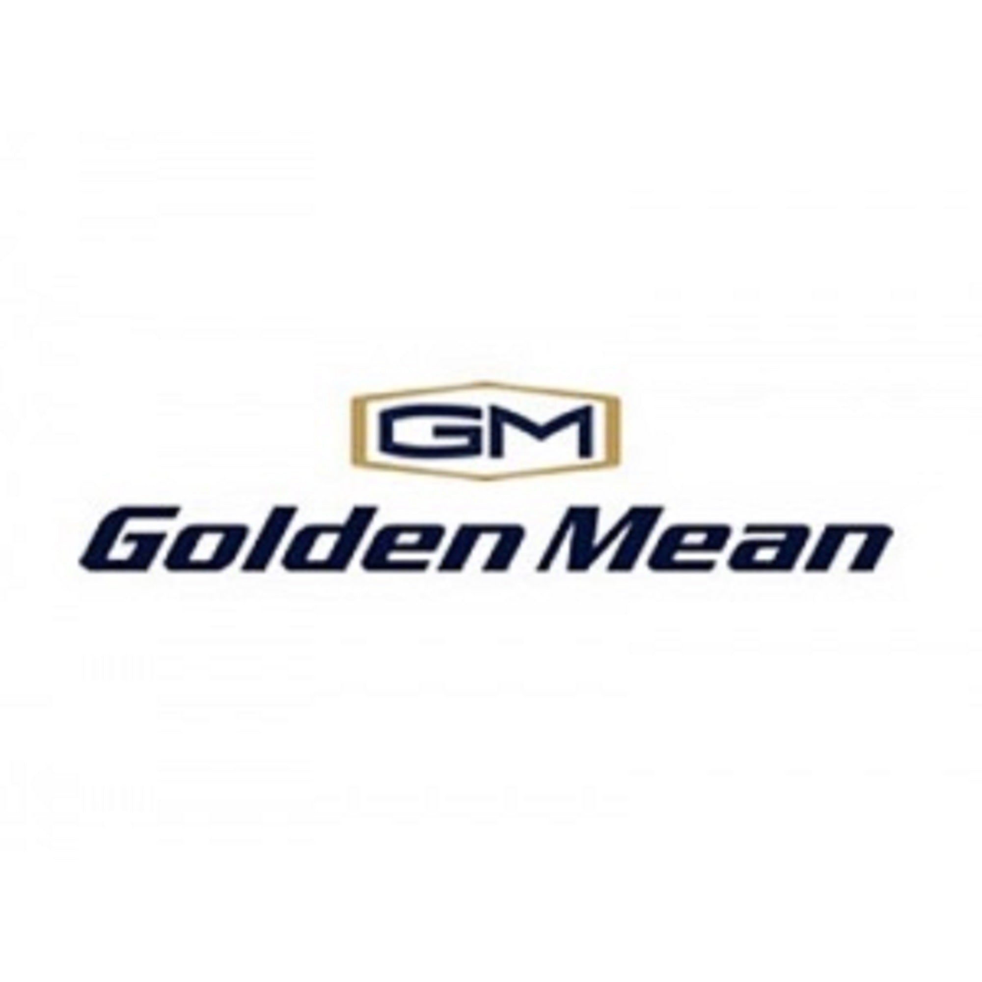 Golden Mean Wading Net Rubber Mesh 570 x 480 mm Gun Metal (4095)