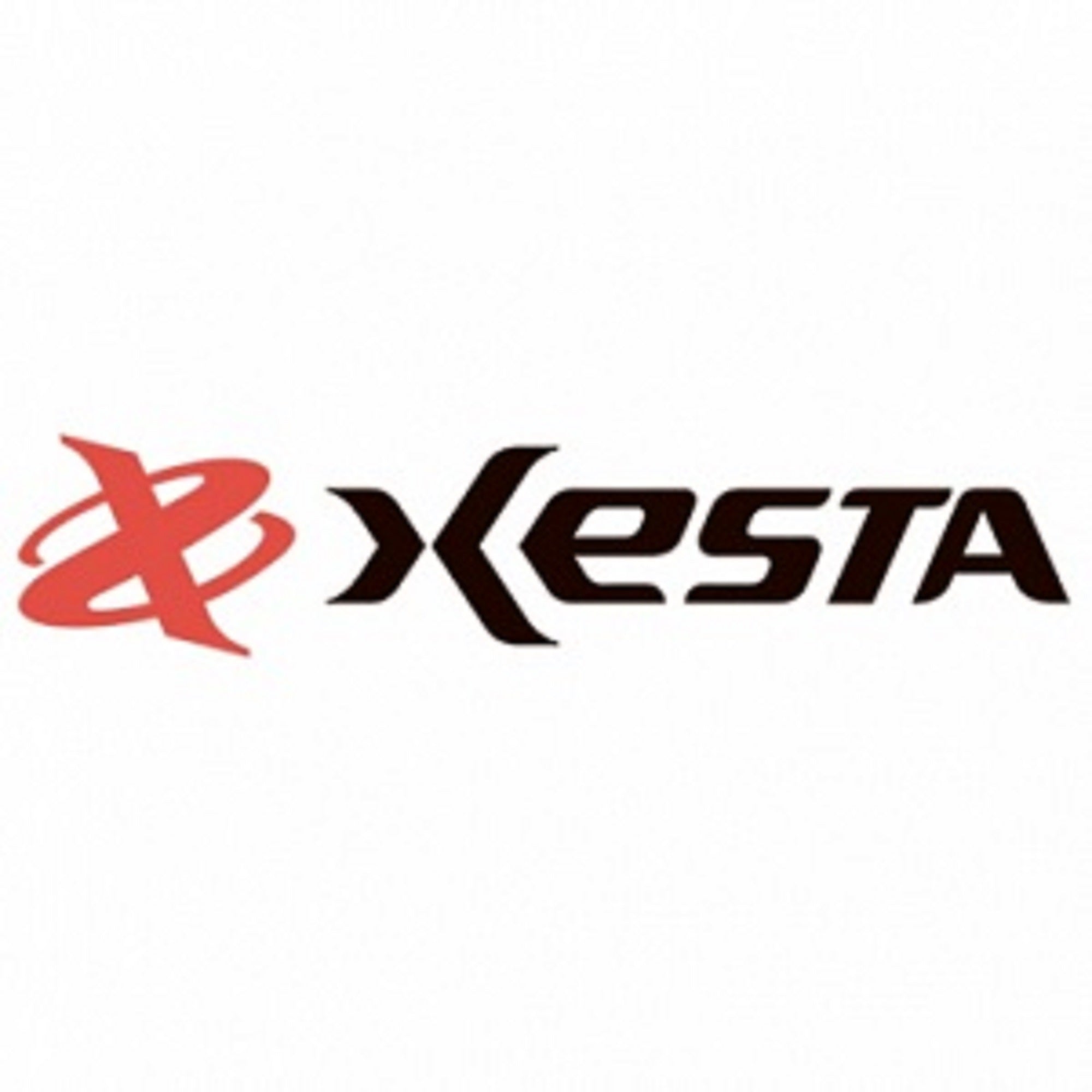 Sale Xesta Black Star Black Hawk Sinking 10 grams Lure BK (4746)