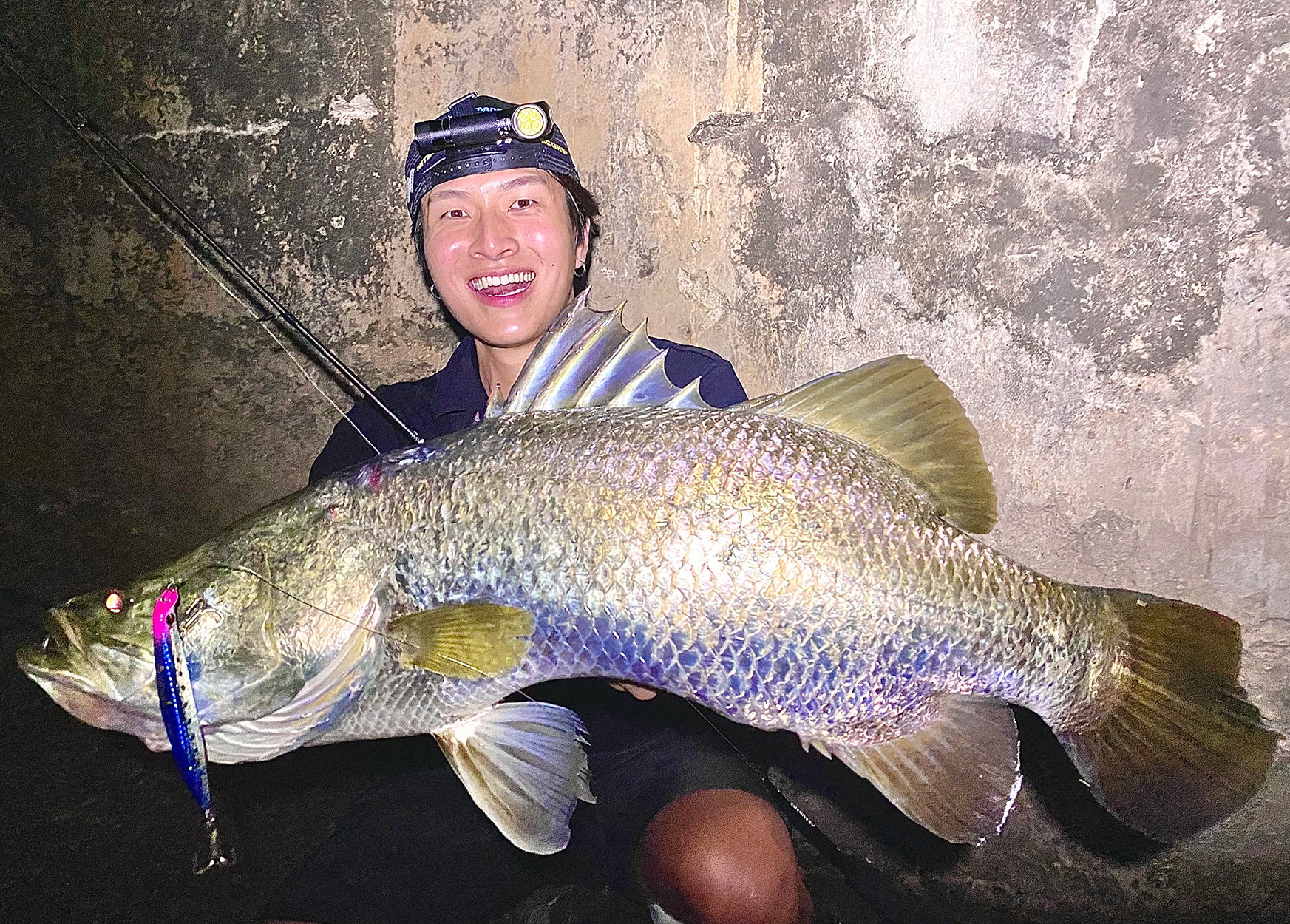 Lure Haven Singapore