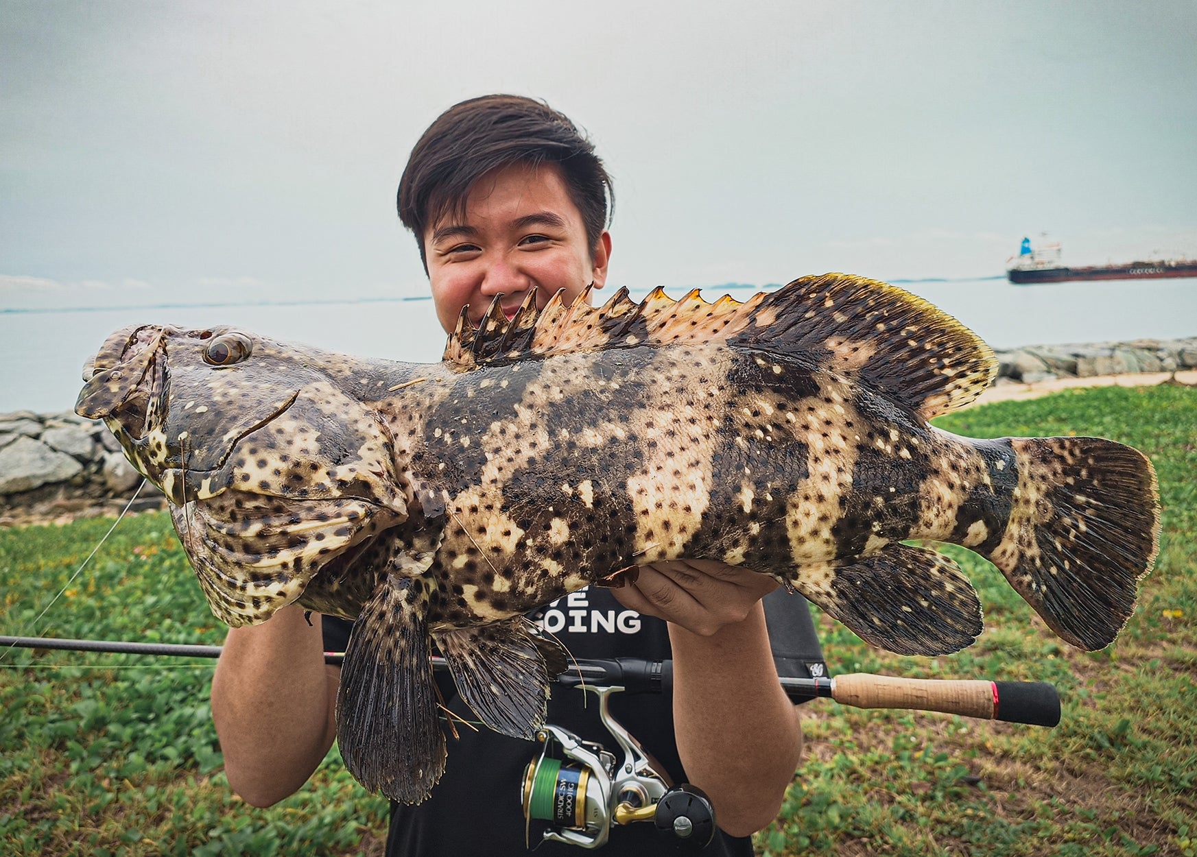 Lure Haven Singapore